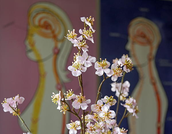 Vallei-dag voor vrouwen